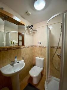 厄尔梅达诺Bedroom Medanomar 1的浴室配有卫生间、盥洗盆和淋浴。