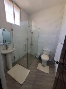 圣多明各Departamento Luna的带淋浴、卫生间和盥洗盆的浴室