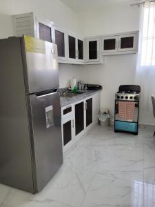 圣多明各Departamento Luna的厨房配有不锈钢冰箱和炉灶。
