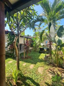 坎古丛林之家旅舍的棕榈树庭院和房屋