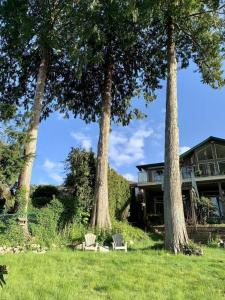 纳奈莫Waterfront Eagle Nest的草上三棵树和长凳的房子
