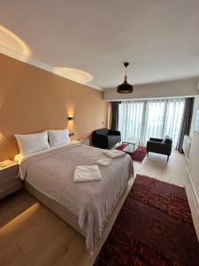 伊斯坦布尔特瑞斯住宿加早餐旅馆的一间带大床的卧室和一间客厅