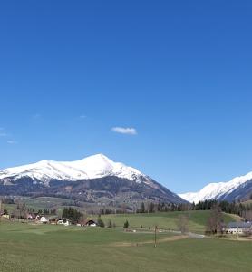 Sankt Peter am KammersbergGreimblick的从田野上可欣赏到雪覆盖的山脉景色