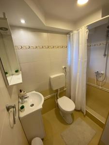 Mataruška BanjaApartman MiNa的浴室配有白色卫生间和盥洗盆。