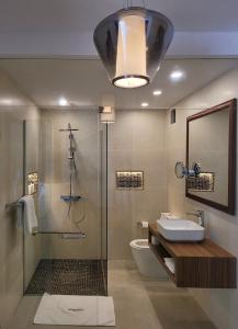阿比让Appartements Lamblin的带淋浴、盥洗盆和卫生间的浴室
