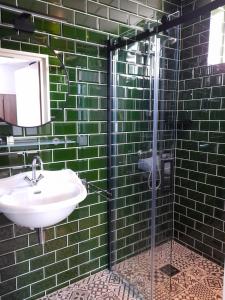 博赫尔Hotel Bed & Breakfast De Poffert的绿色瓷砖浴室设有水槽和淋浴