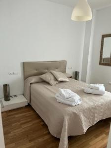 埃希哈ático con terraza- solarium的一间卧室配有一张带两条白色毛巾的床
