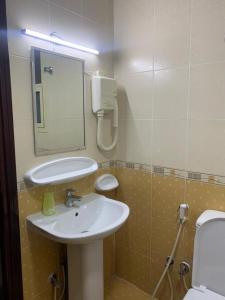 阿吉曼AL MARJAN FURNISHED APARTMENTS的一间带水槽、镜子和卫生间的浴室