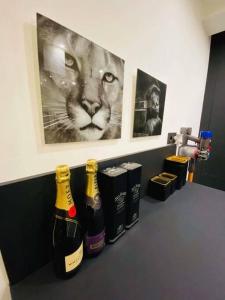 瑟兰Superbe appartement chic et design的一个带瓶香槟的架子和一张猫的照片
