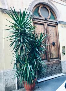 罗马罗马达诺伊套房酒店的一对棕榈树在门前