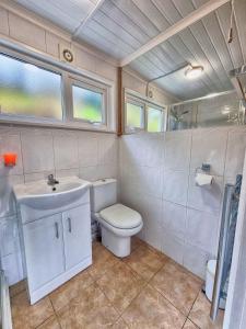 斯旺西Caswell Beach Chalet 70 located in Gower Peninsula的一间带卫生间和水槽的浴室