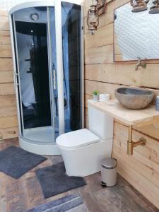 希洪Glamping Quintana的浴室配有卫生间、盥洗盆和淋浴。