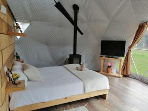 Glamping Quintana客房内的一张或多张床位