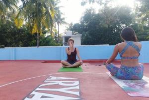 瓦尔卡拉Aryavilla Heritage的两个坐在球场上瑜伽课的女人