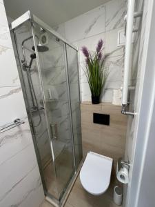斯诺科Apartament nad Zalewem的一间带卫生间和玻璃淋浴间的浴室