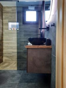 斯卡拉卡里拉奇斯Seaside Deluxe Apartment的一间带水槽和玻璃淋浴的浴室