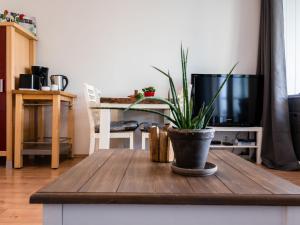 迪蒂斯豪森Apartment B 77 by Interhome的木桌上方的盆栽植物