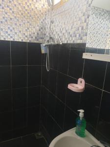 庞普勒穆斯Villa Pointe Aux Piments的一间带卫生间的浴室和墙上的粉红色心