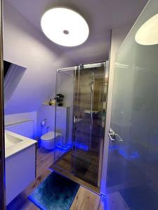哈茨山区黑尔茨贝格Haus an der Sieber Zimmer 5的一间带玻璃淋浴和卫生间的浴室