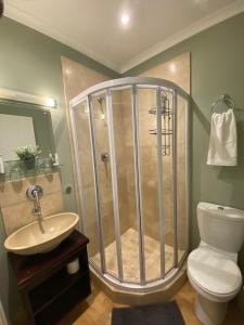 布鲁堡史特兰Imany Guest House的带淋浴、卫生间和盥洗盆的浴室