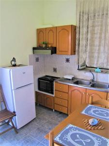 穆兹罗斯Toula's Garden - View Apartment的厨房配有白色冰箱和桌子