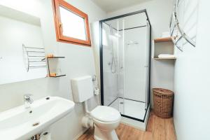 巴诺夫茨Terme Banovci - Mobilne hiške Med Brajdami的浴室配有卫生间水槽和淋浴。