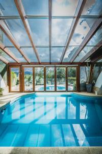 圣卡洛斯-德巴里洛切Bungalows Buena Vista的一座带玻璃天花板的别墅内的游泳池