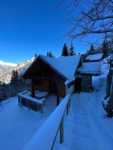 OzChalet with mountainview的雪地小木屋