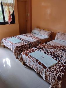 萨加达AJjaa's Place的两张睡床彼此相邻,位于一个房间里