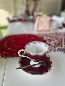 勒斯滕堡Swane’s guesthouse.的茶杯和茶碟