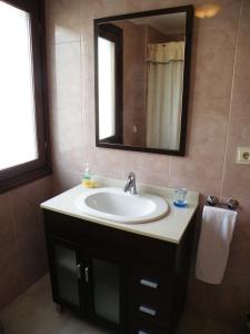 埃利松多Apartamento Rural Elizondo的一间带水槽和镜子的浴室