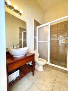 罗阿坦Ocean View Hotel and Restaurant的一间带水槽、卫生间和淋浴的浴室