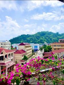 Bản CoKhach san Nam Hotel的一座在建筑前有粉红色花朵的城市