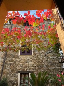 加尔伦达波尔加塔坎托内 住宿加早餐乡间别墅的一座石头建筑,前面有红花