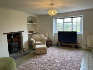 埃克塞特Elbury Lodge的一间带电视、椅子和壁炉的客厅