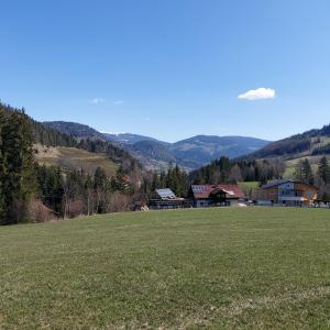 Sankt Peter am KammersbergGreimblick的一座大田,有房子和山地背景