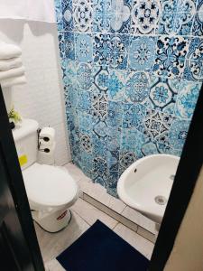 戴维Residencial Lassonde Guest House的蓝色和白色的浴室设有卫生间和水槽