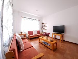 普拉亚Txada Hostel的带沙发和平面电视的客厅