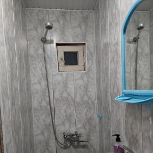 西格纳吉Guesthouse Angelina-Koko的带淋浴的浴室(带蓝色镜子)