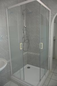 考纳斯Salvia apartment的浴室里设有玻璃门淋浴
