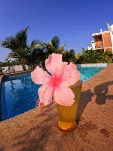 黎明之村Wow Farm House & Resort near Pondicherry的游泳池旁的花瓶里的一个粉红色花