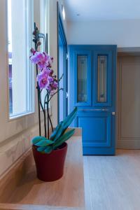 约阿尼纳Zalo Urban Living Spaces的蓝色的房间,有盆栽和蓝色的门