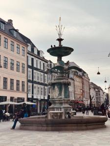 哥本哈根ApartmentInCopenhagen Apartment 1502的一座城市中央的喷泉