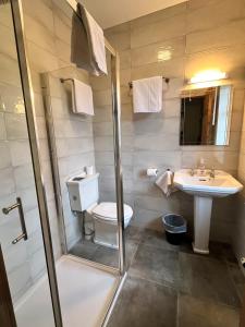 罗斯莱尔St Martin's, Rosslare Harbour Guest Accommodation的浴室配有卫生间、盥洗盆和淋浴。