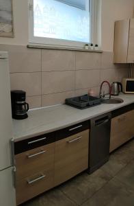 格但斯克格但斯克斯塔罗卡公寓的厨房配有水槽和台面