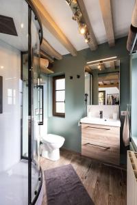 圣但尼勒蒂布Le Puits Jaune - Gîte Nature et Spa的一间带卫生间、水槽和镜子的浴室