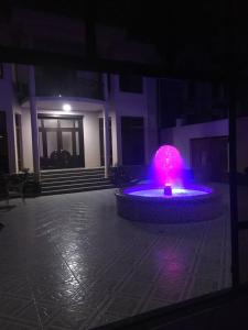 撒马尔罕Uzbek House的夜晚在庭院里用紫色灯泡的喷泉