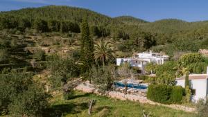 圣胡安包蒂斯塔Valley Club Ibiza - Boutique Agroturismo的森林中带游泳池的别墅