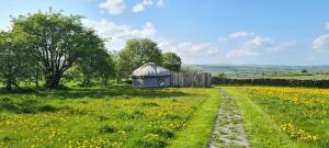 CauldonSecret Cloud House Holidays Luxury Yurts with Hot Tubs的花丛中间的蒙古包