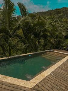 科帕卡瓦纳All Natural Glamping的一座棕榈树游泳池和一个木甲板